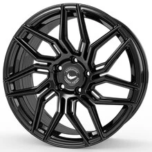 Barracuda Dragoon Higloss-Black
